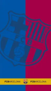 Detský uterák s motívom FC Barcelona RDB34 Šírka: 75 cm | Dĺžka: 150 cm