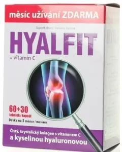 Hyalfit s vitamínom C 90 kapsúl
