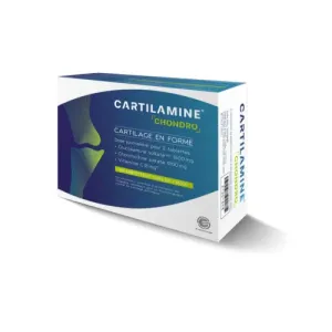CARTILAMINE CHONDRO tbl (denná dávka v 2 tabletách) 1x60 ks