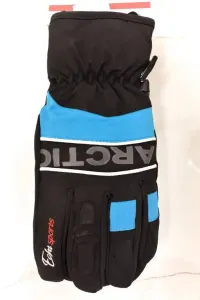 Pánske čierne lyžiarske rukavice ECHT ARCTIC L-XL-2XL #1783635
