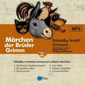 Märchen der Brüder Grimm (DE) - Jacob Grimm, Wilhelm Grimm (mp3 audiokniha)