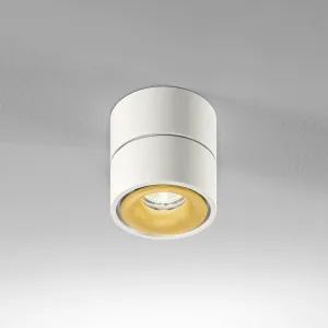 Egger Clippo stropné LED dim to warm biele/zlaté