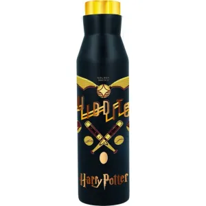 Epee Merch Nerezová termo fľaša Diabolo Harry Potter 580 ml