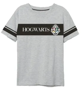EPlus Pánske tričko Harry Potter - Rokfort sivé Veľkosť - dospelý: XXL