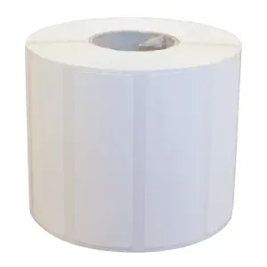 Epson, label roll, synthetic, 102x152mm #5933122