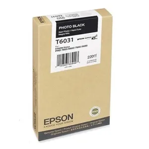 Epson C13T603100 foto čierna (photo black) originálna cartridge