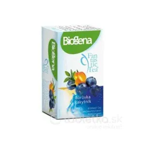 Biogena Majestic Tea Aloe Vera & Ostružina 20x2,5 g #2864289