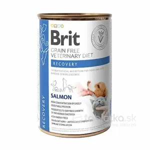 Brit Veterinary Diets GF cat + dog Recovery konzerva pre mačky a psy 400g