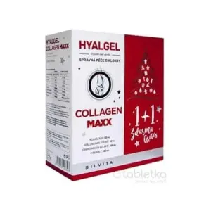 HYALGEL COLLAGEN MAXX Vianočné balenie tekutý prípravok s pomarančovou príchuťou (1+1 zdarma) 2x500 ml (1000 ml) - 1 set