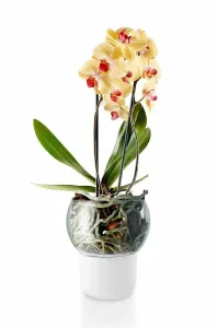 Samozavlažovací sklenený kvetináč na orchideu priemer 15cm, eva solo