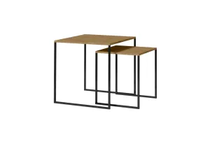 Expedo Konferenčný stolík CELINE, 60x60x60, dub artisan/čierna