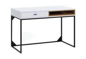 Expedo Písací stôl OTYL, 120x80,5x60, biela/dub artisan