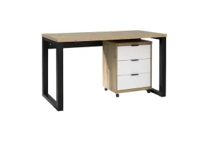 Expedo Písací stôl RAMO 2, 135x76,2x65, dub artisan/čierna/biela