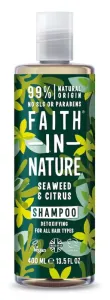 Faith in Nature Prírodné šampón s morskou riasou pre všetky typy vlasov ( Detox ifying Shampoo) 400 ml