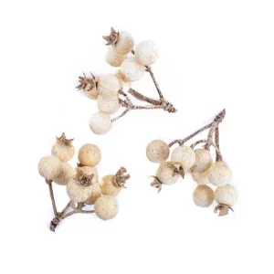 3D ozdobné vetvičky bielych bobúľ (vianočná dekorácia) #1826899