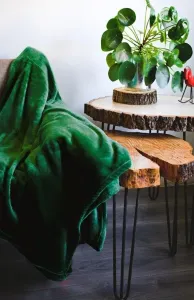 Krásna mäkká zelená deka Šírka: 150 cm | Dĺžka: 200 cm