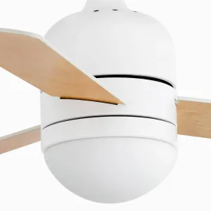 Stropný ventilátor Cebu S, biela/javor, svietidlo