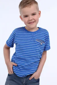 Boys' cornflower blue striped T-shirt #5349751