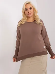 Brown plus size blouse with long sleeves