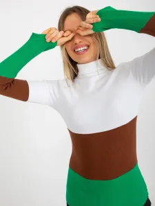 Ecru-green fitted basic ribbed turtleneck blouse