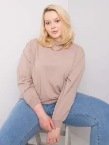 Dark beige sweatshirt plus size basic