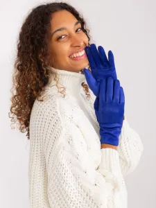 Cobalt Blue Elegant Winter Gloves #9052412