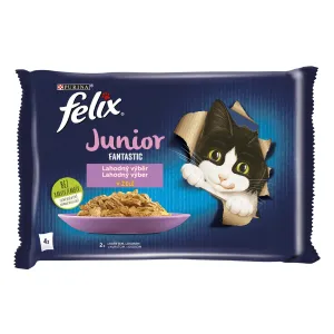 FELIX Fantastic pre mačky junior kura&losos kapsičky pre mačky 4x85g