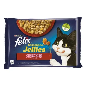 FELIX Sensations cat Multipack hovädzie & kura v želé kapsičky pre mačky 4x85g