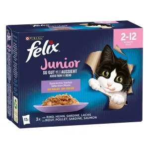 Felix (