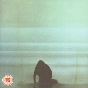 Foals - What Went Down (CD + DVD)