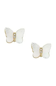 Fossil Radiant Wings JF04422710 #7265643