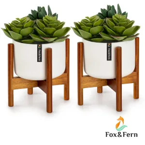 Fox & Fern Thorn, kvetináč so stojanom, 2-dielna súprava, štýl 50. rokov