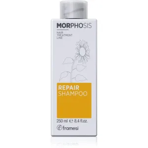 Framesi Morphosis Repair Conditioner vyživujúci šampón pre obnovu a posilnenie vlasov 250 ml #4691419