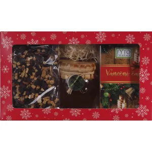 Fyto Pharma Darčeková kazeta (Vianočný čaj sypaný 100 g + porciovaný vrecúška 20 x 2 g + med 250 g) 3 ks