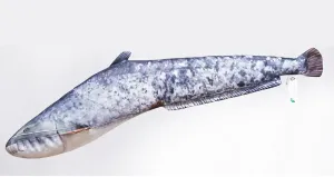 Gaby plyšová ryba sumec malý 62 cm