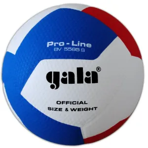 Volejbalová lopta gala pro-line 10 bv 5581 s