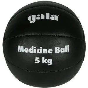 GALA - Medicinbal kožený, 5 kg