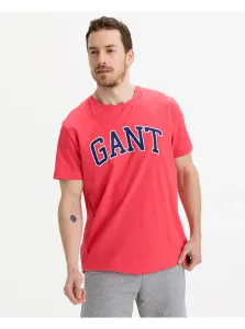 Pink Men's T-Shirt GANT Arch Outline - Men's