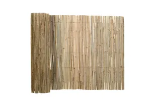 Zástěna BALA 200 x 300 cm bambusová