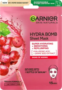 Garnier Skin Naturals Hydra Bomb Natural Origin Grape Seed Extract 1 ks pleťová maska na zmiešanú pleť; na normálnu pleť; proti vráskam