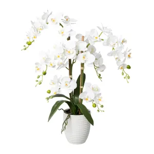 Gasper Umělá orchidej v keramickém květináčij, 67 cm, bílá