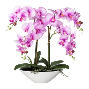 Gasper Umělá orchidej v keramické misce, 53 cm