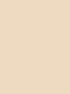 Top Gatta 3K 611 S-XL natural/beige 04 #8500531