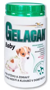 Gelacan Baby doplnkové minerálne krmivo pre šteňatá 500g
