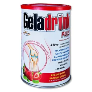Geladrink Gelapony Plus Jahoda nápoj 340 g