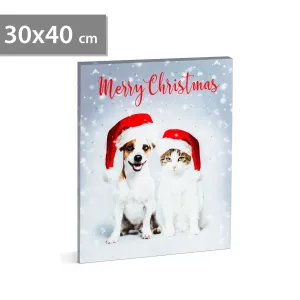 Vianočný LED obrázok - s vešiakom na stenu , 2 x AA, 30 x 40 cm #2140373