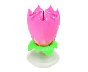 985138 DR Hrajúca narodeninová sviečka - Lotosový kvet Ružová