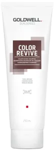 Goldwell Šampón na oživenie farby vlasov Cool Brown Dualsenses Color Revive ( Color Giving Shampoo) 250 ml