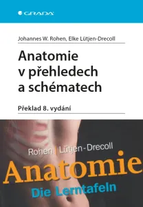 Anatomie v přehledech a schématech, Rohen W. Johannes #3272537