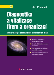 Diagnostika a vitalizace firem a organizací, Plamínek Jiří #3688181